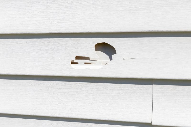 Detail of Siding Patch Repair